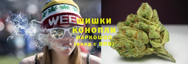 гашик Аркадак
