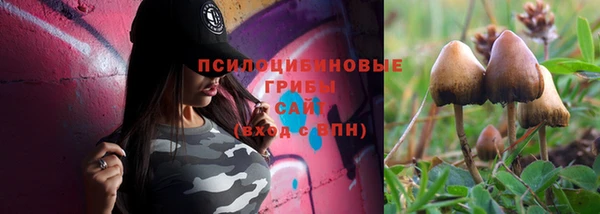 стафф Армянск
