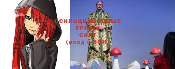 гашик Аркадак