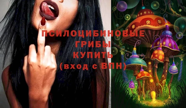 стафф Армянск