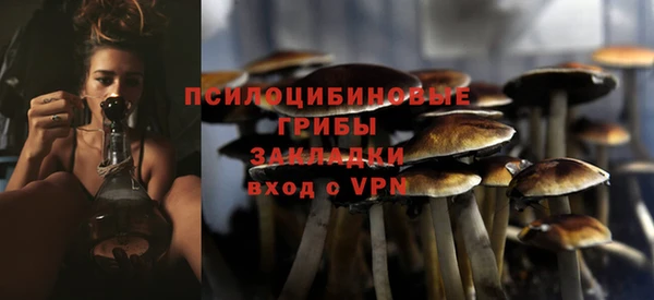 спайс Арсеньев