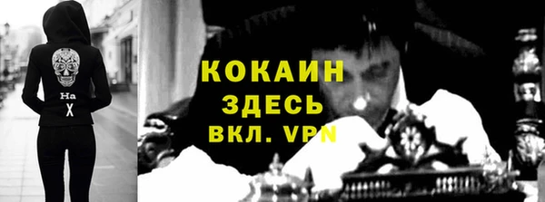 гашик Аркадак