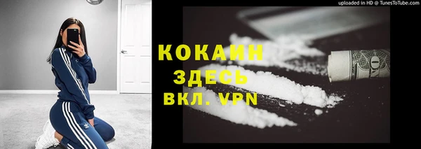 гашик Аркадак