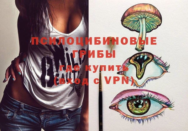 спайс Арсеньев