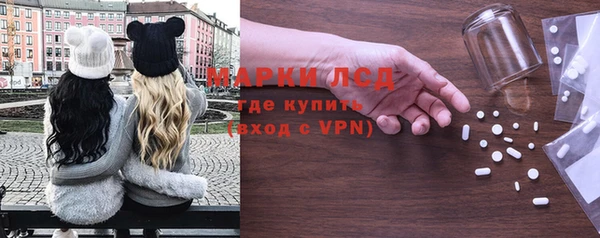 гашик Аркадак