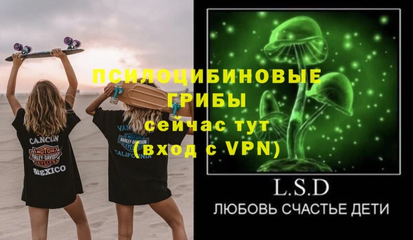 спайс Арсеньев
