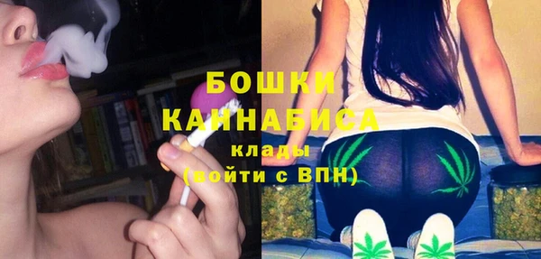 спайс Арсеньев
